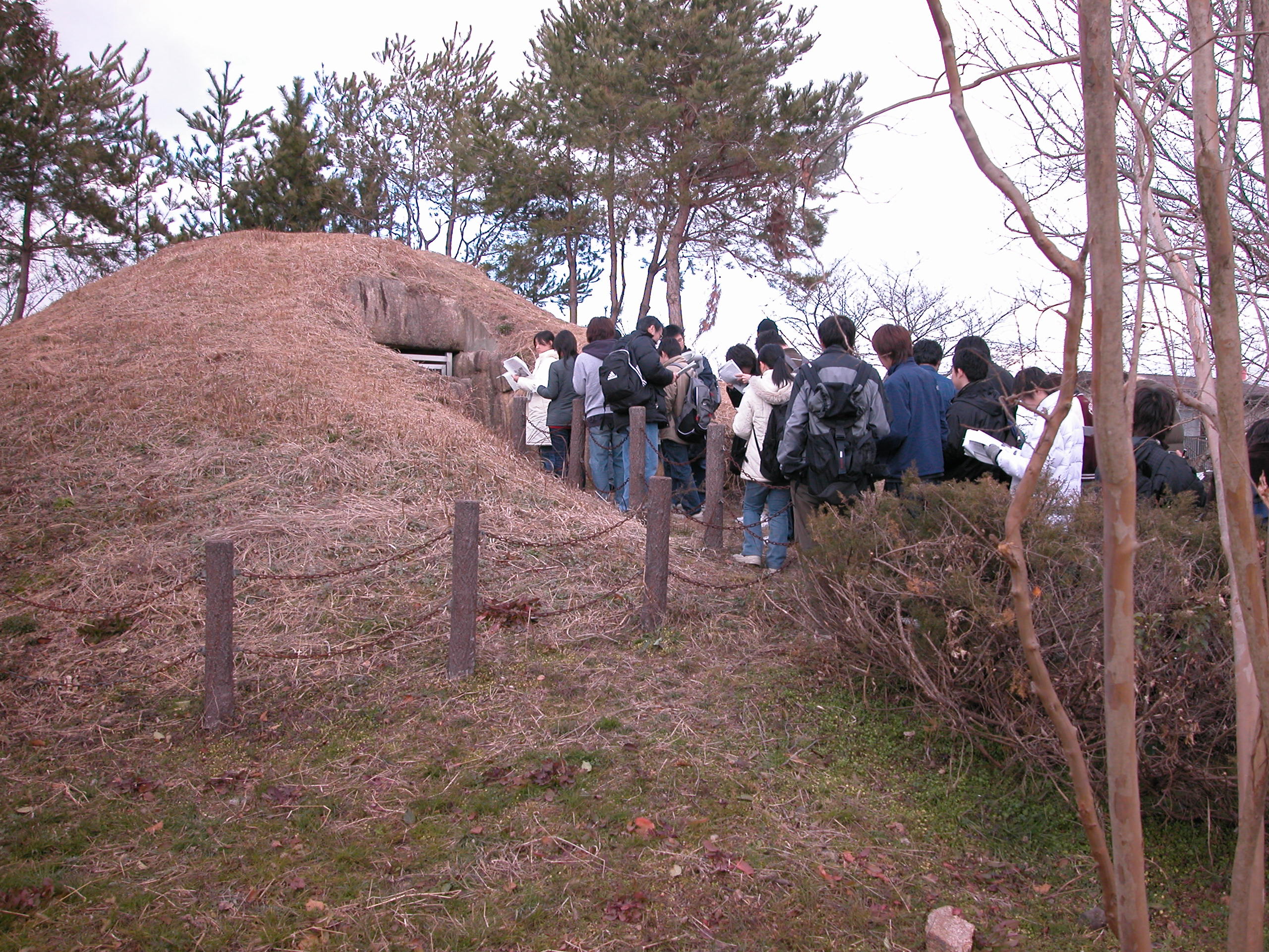 yokoanashiki